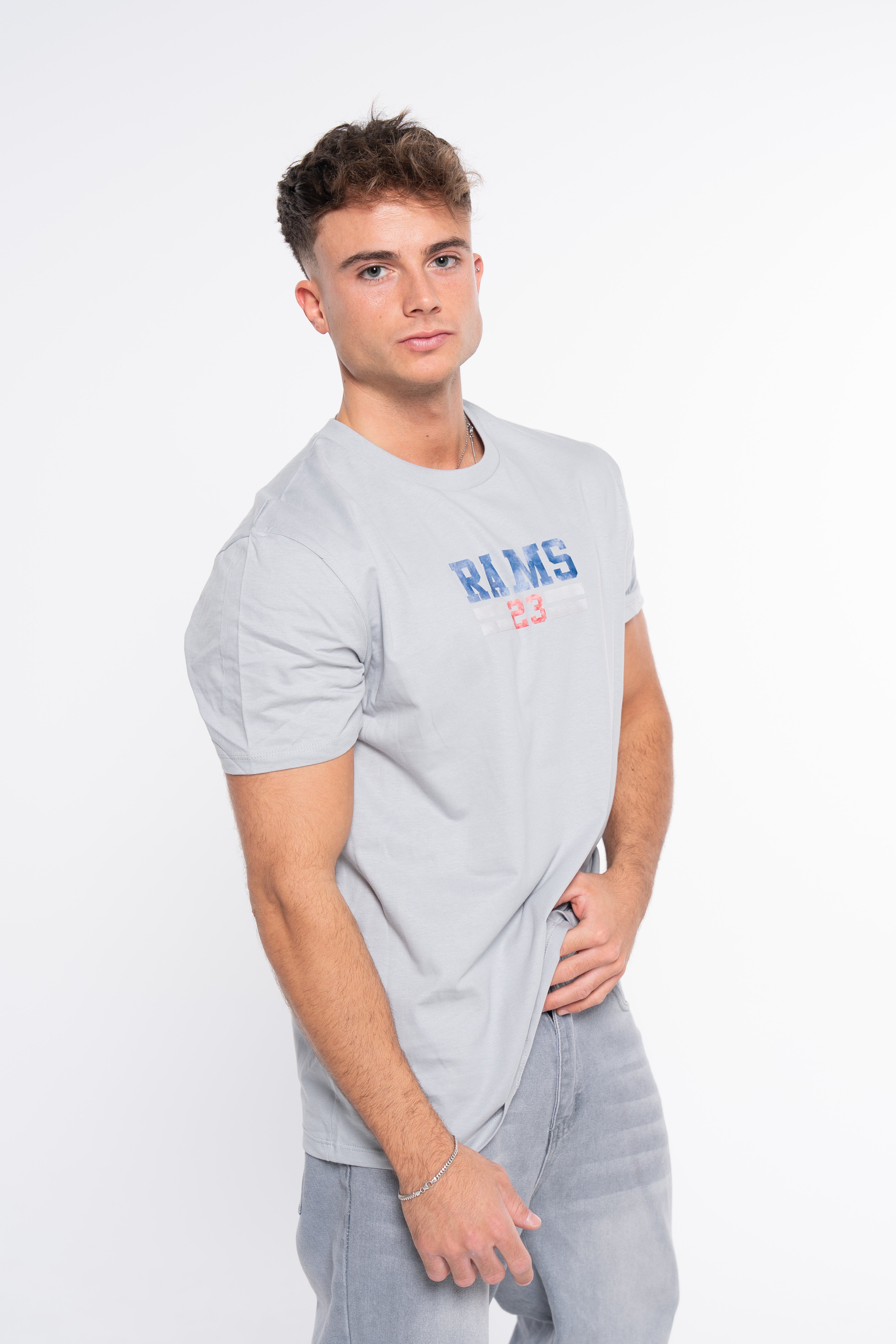 CAMISETA AVIADOR 23 GRIS