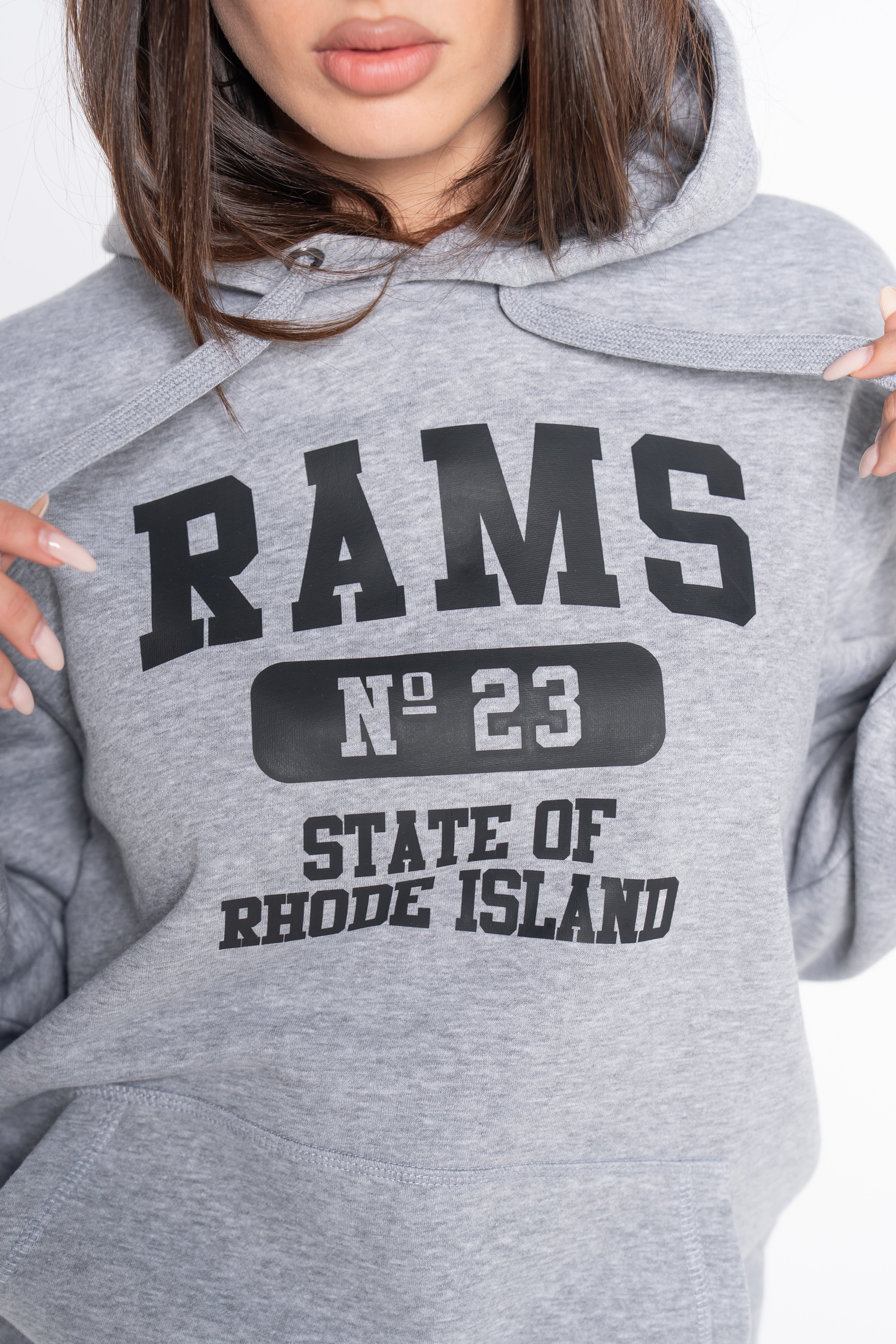 SUDADERA N23 GRIS