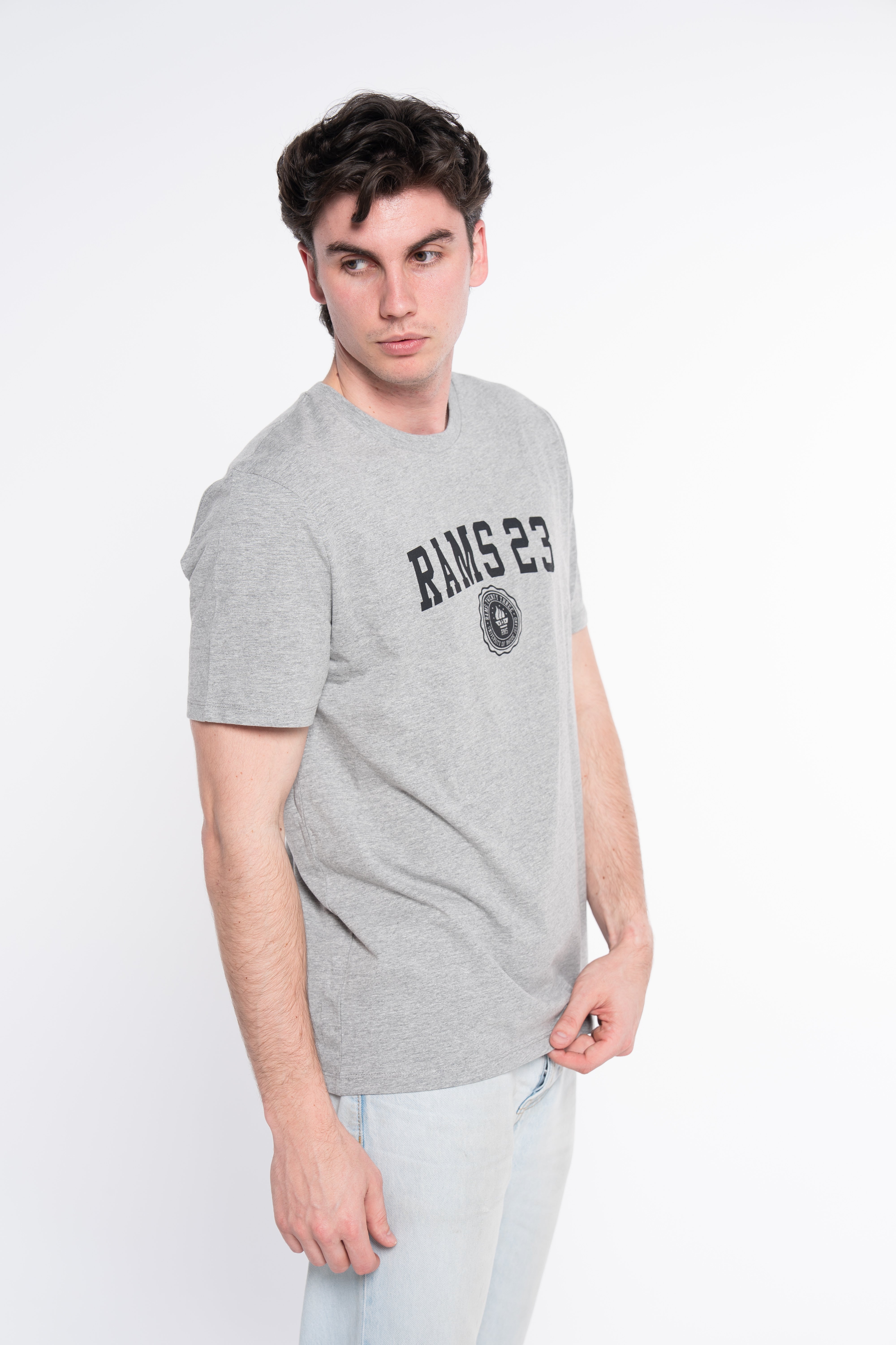 CAMISETA UNIVERSITY LOGO GRIS