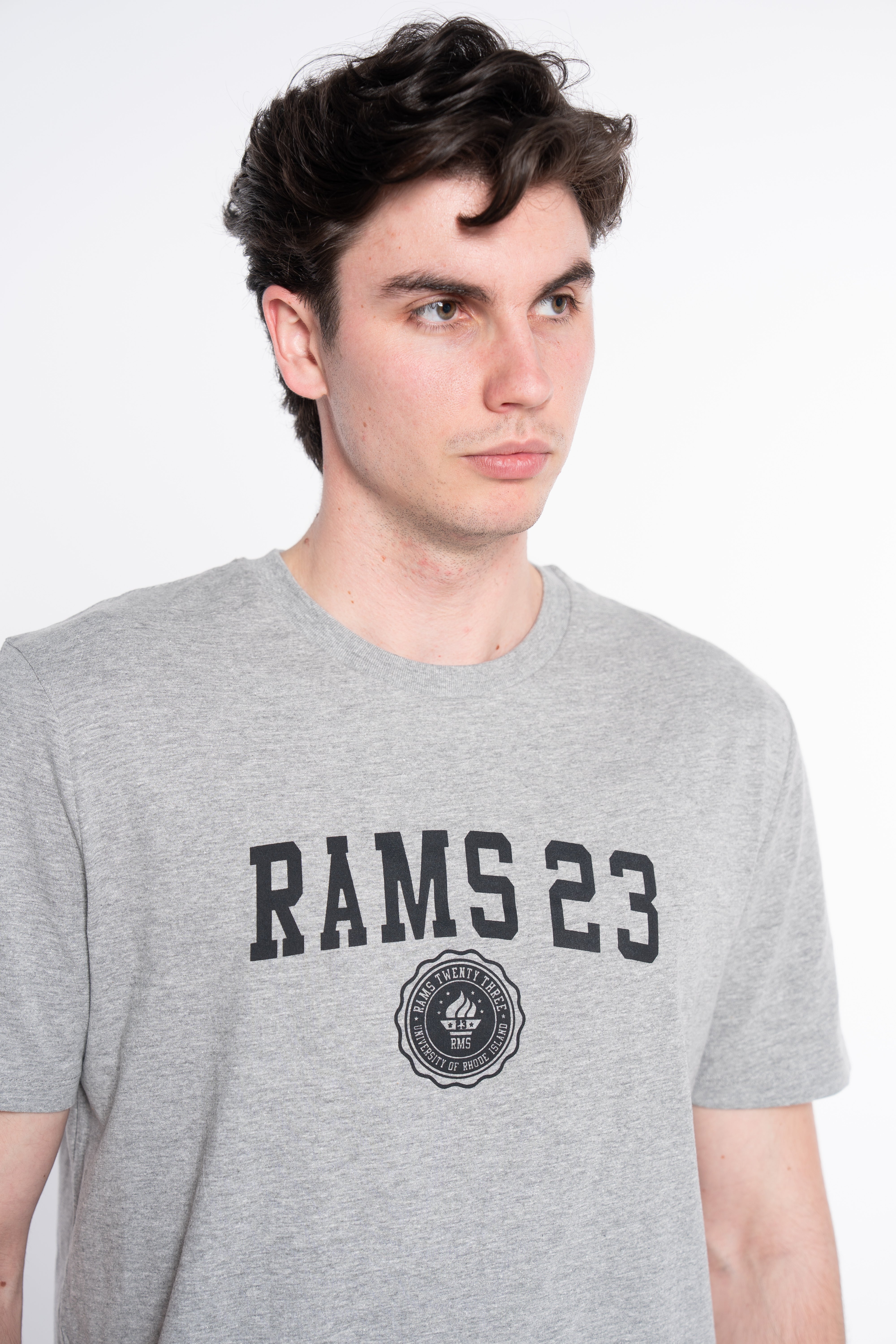 CAMISETA UNIVERSITY LOGO GRIS