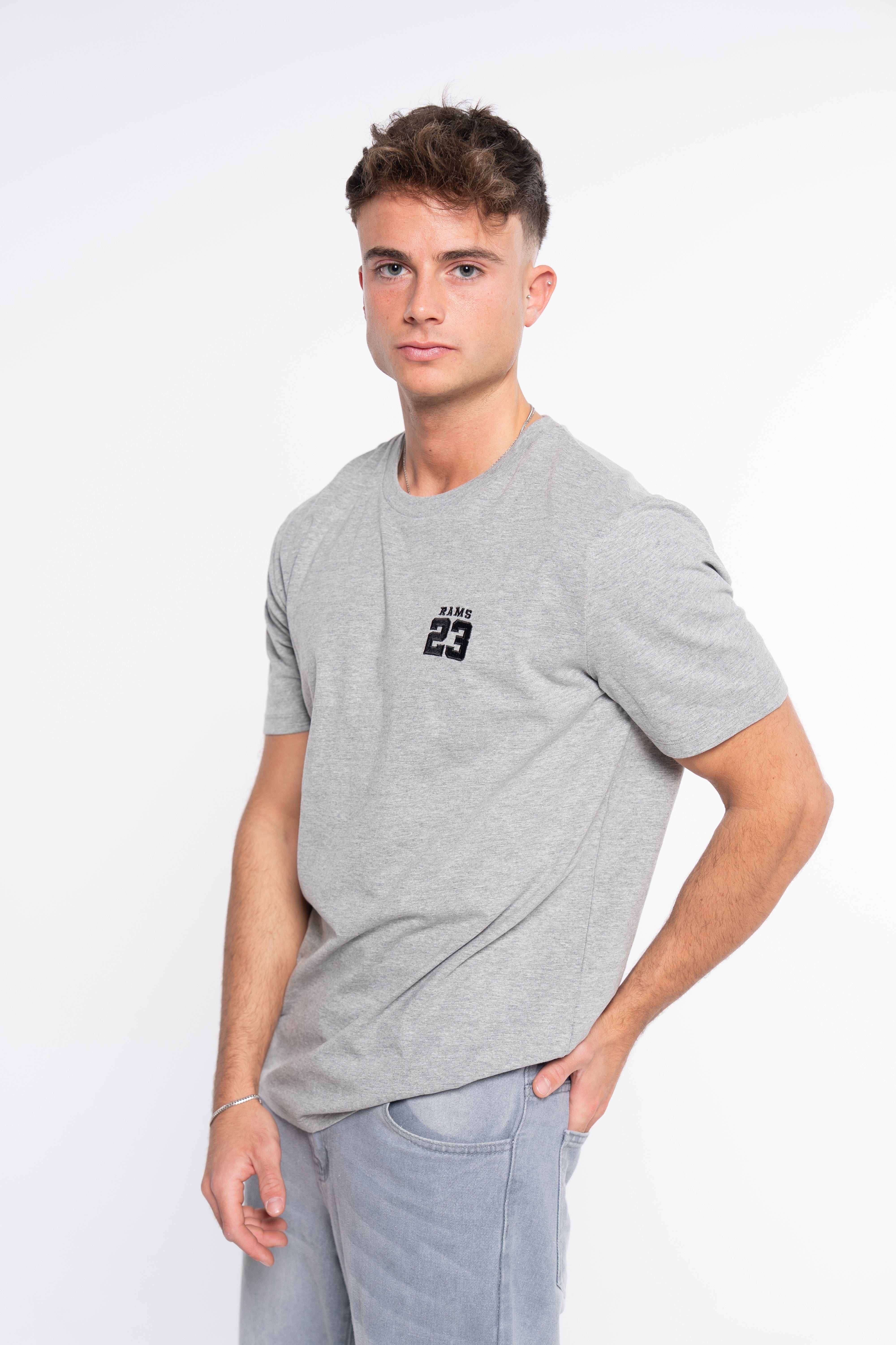 CAMISETA CLASSSIC LOGO BORDADO GRIS