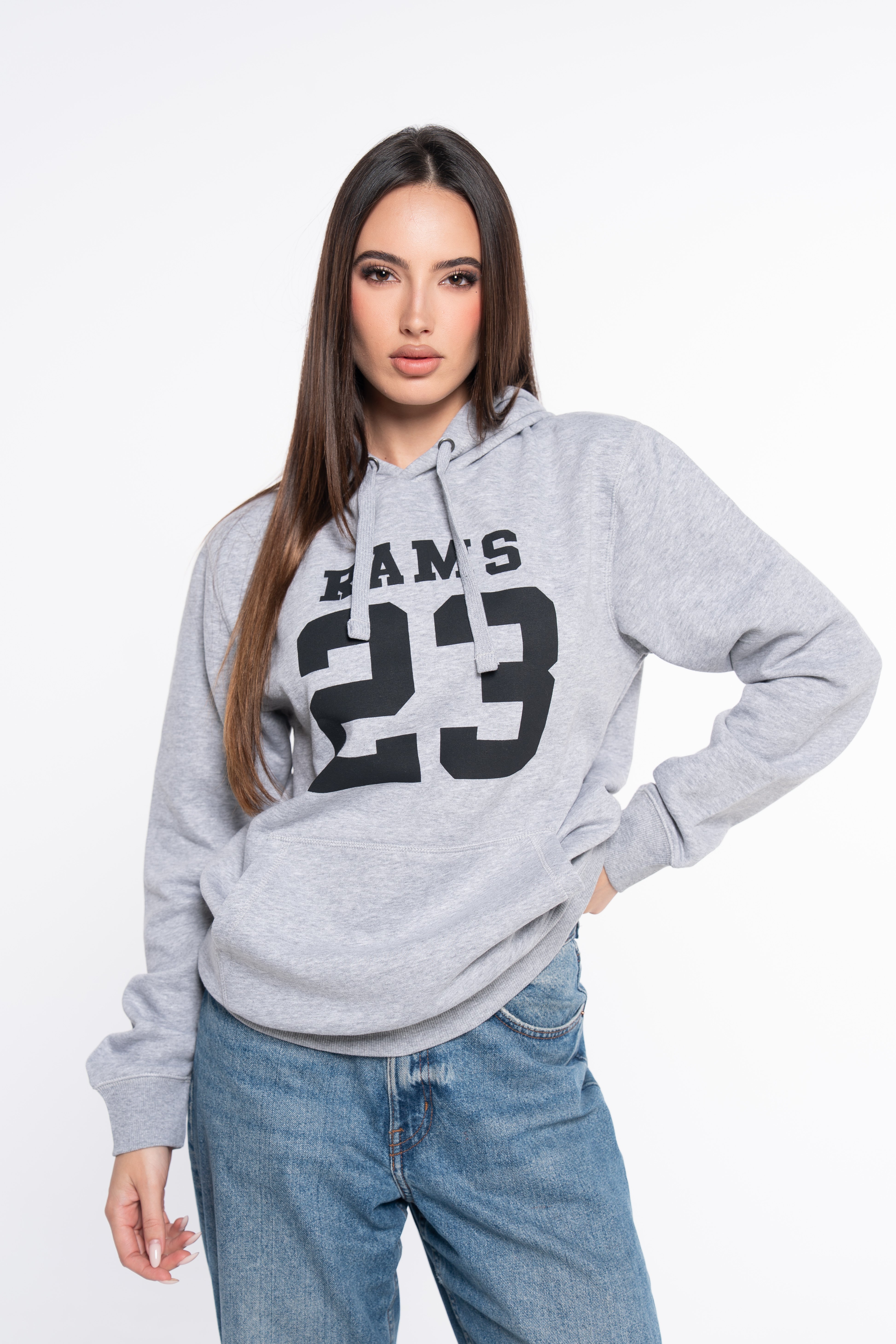 SUDADERA CLASSIC LOGO GRIS