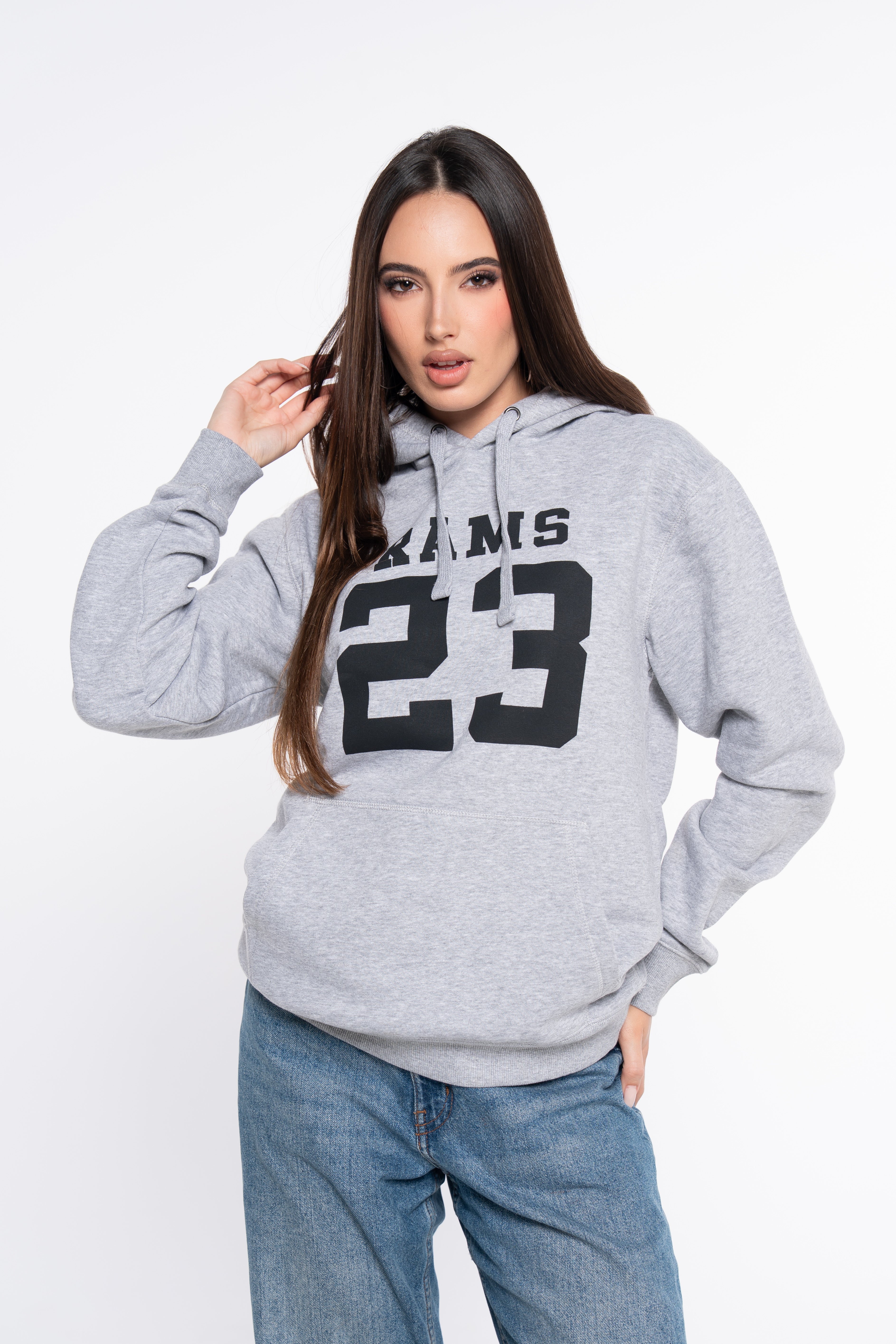 SUDADERA CLASSIC LOGO GRIS