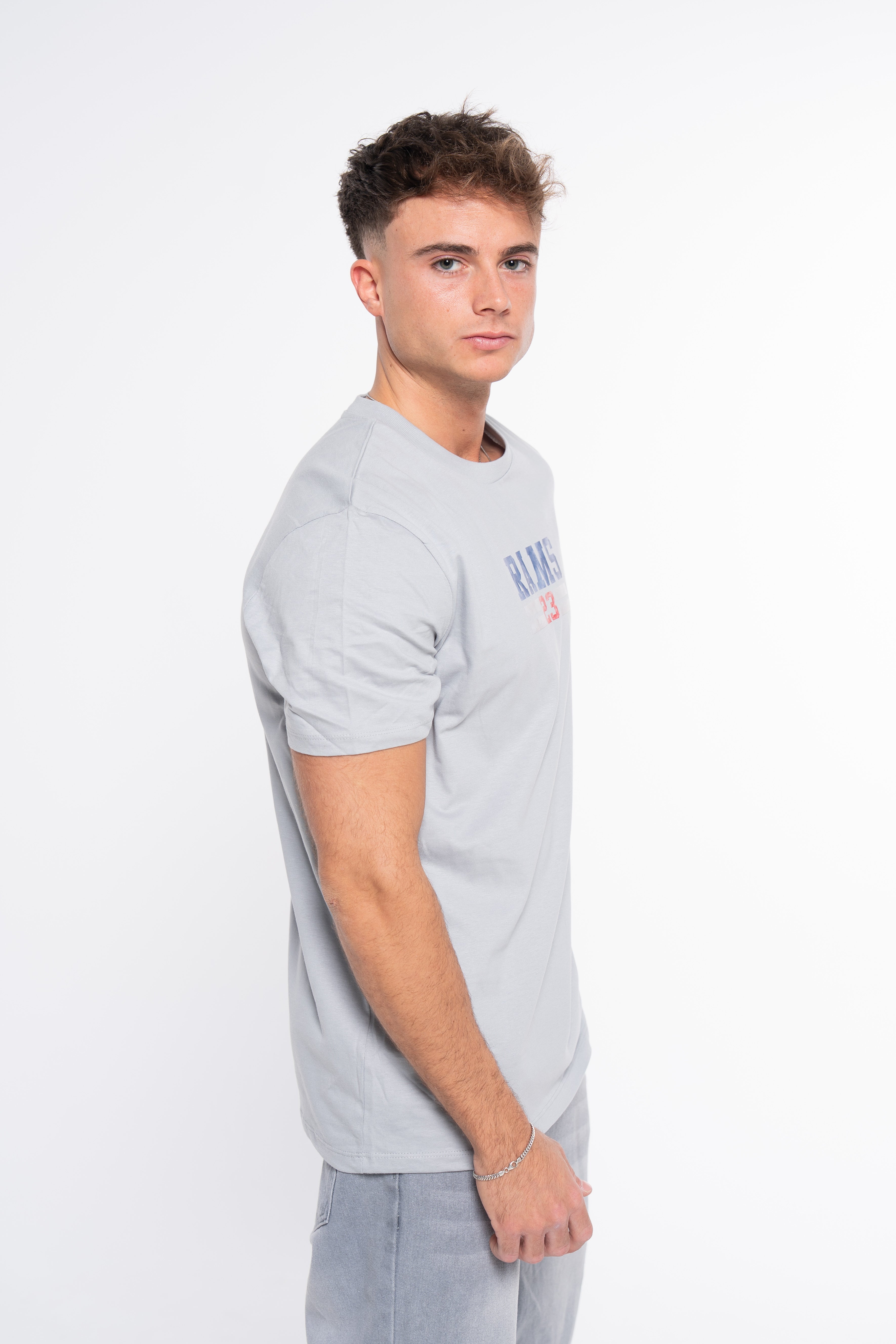 CAMISETA AVIADOR 23 GRIS