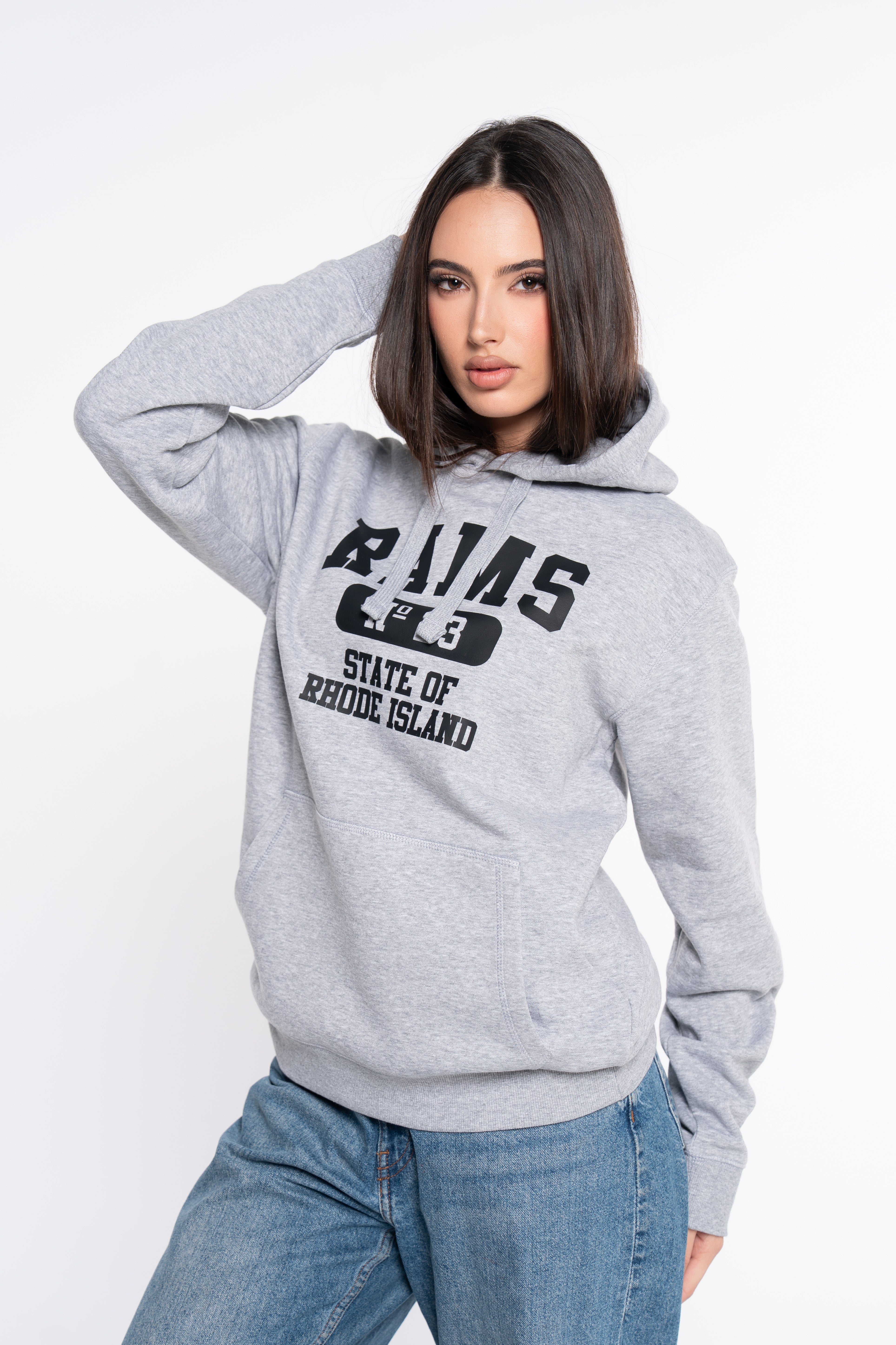 SUDADERA N23 GRIS