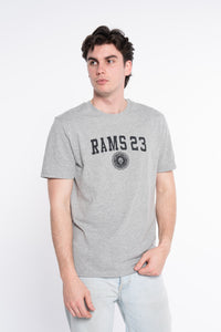 CAMISETA UNIVERSITY LOGO GRIS