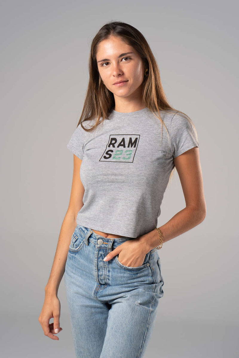 Camiseta Rams 23 Square Gris