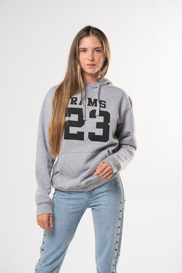 Sudadera Classic Logo Gris