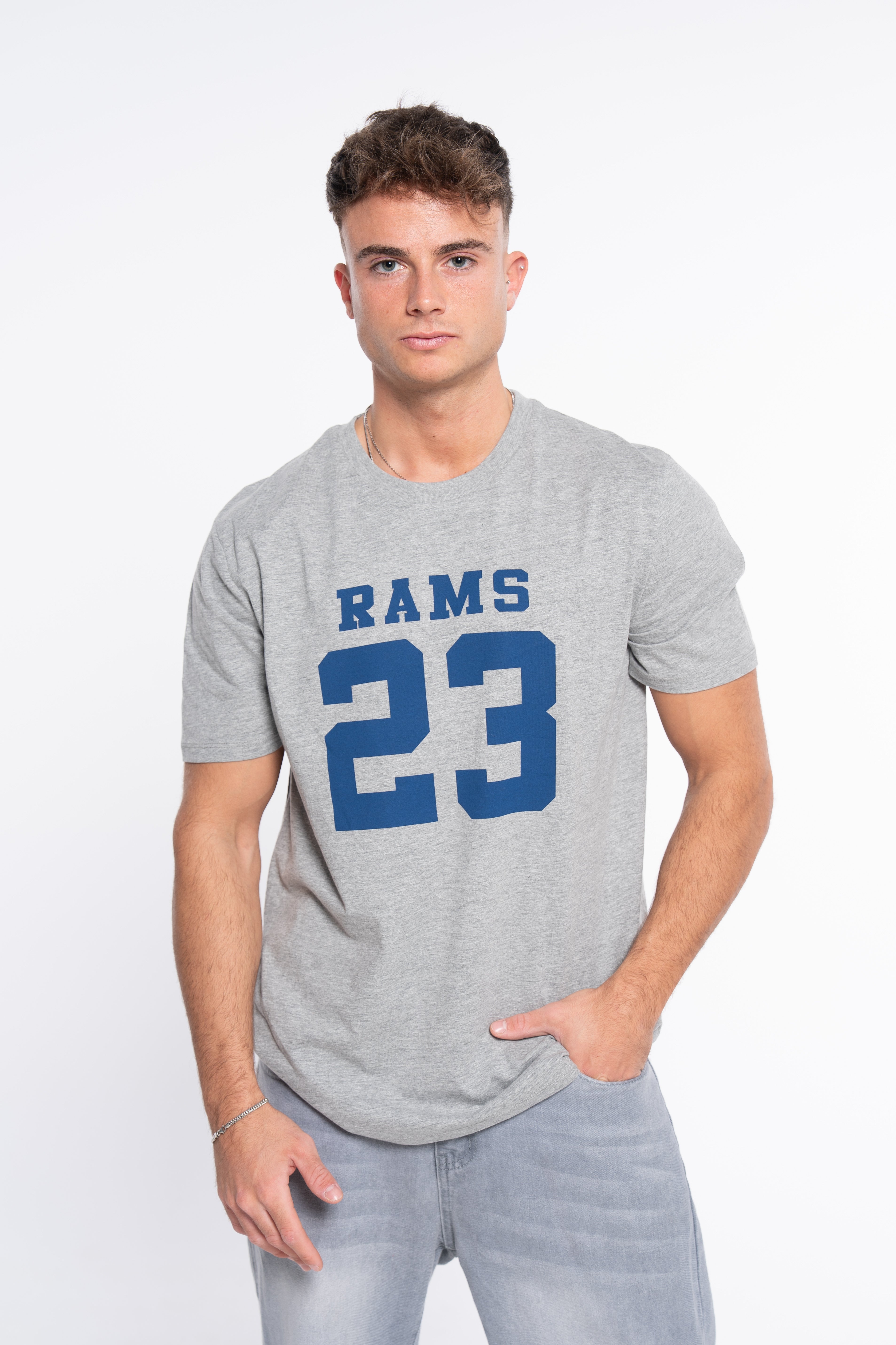 CAMISETA CLASSIC LOGO GRIS