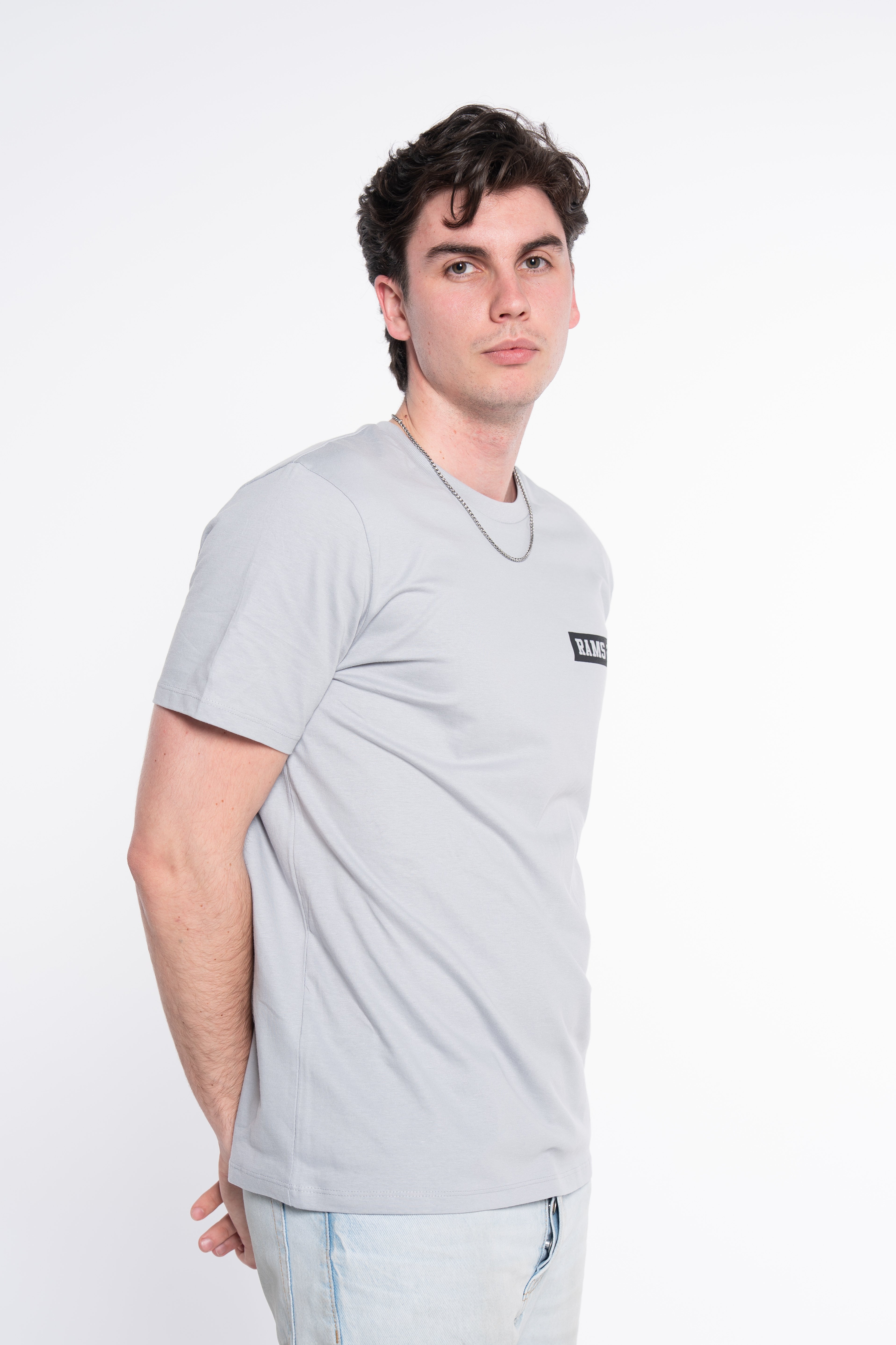 CAMISETA LOGO RECTANGULAR GRIS