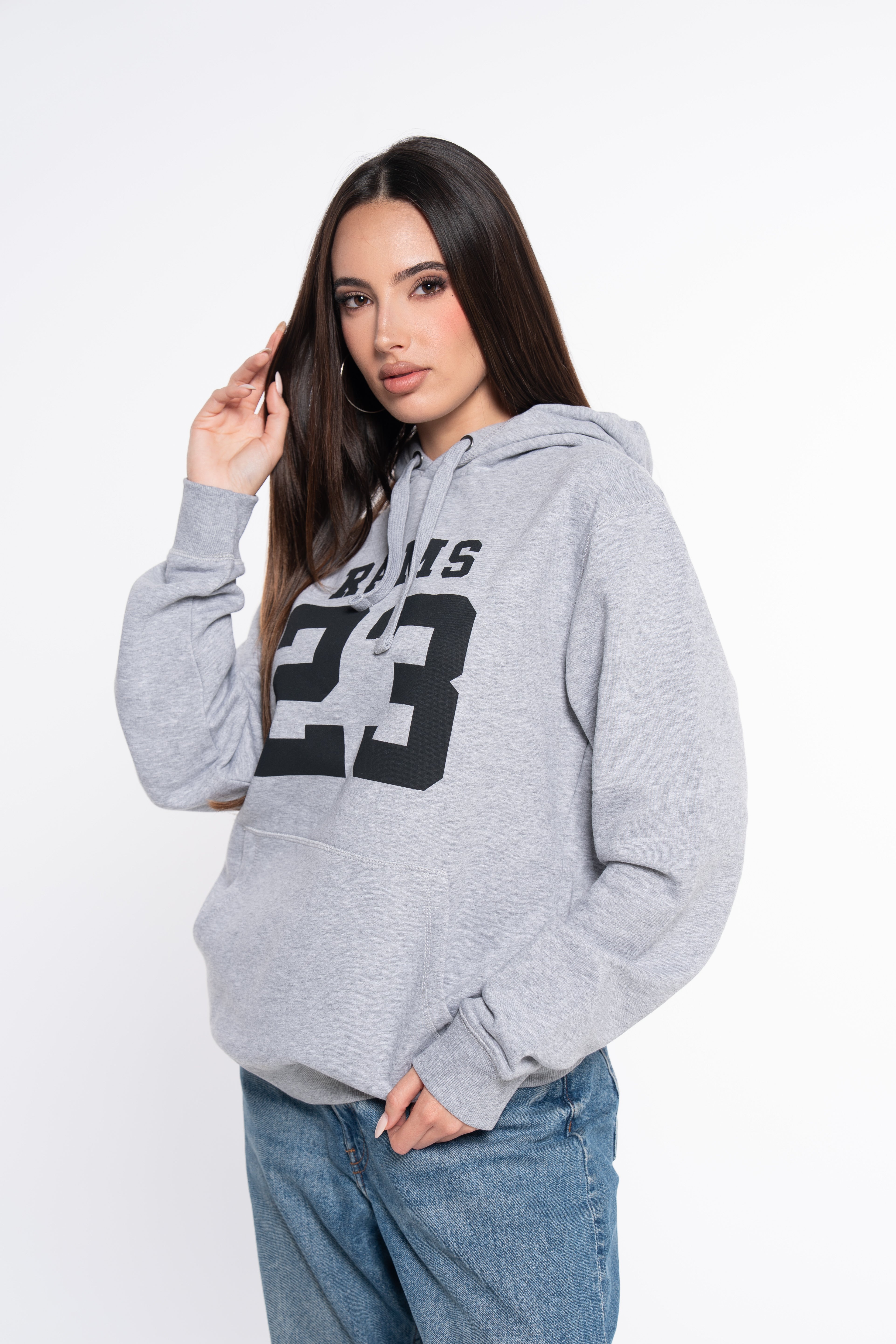 SUDADERA CLASSIC LOGO GRIS