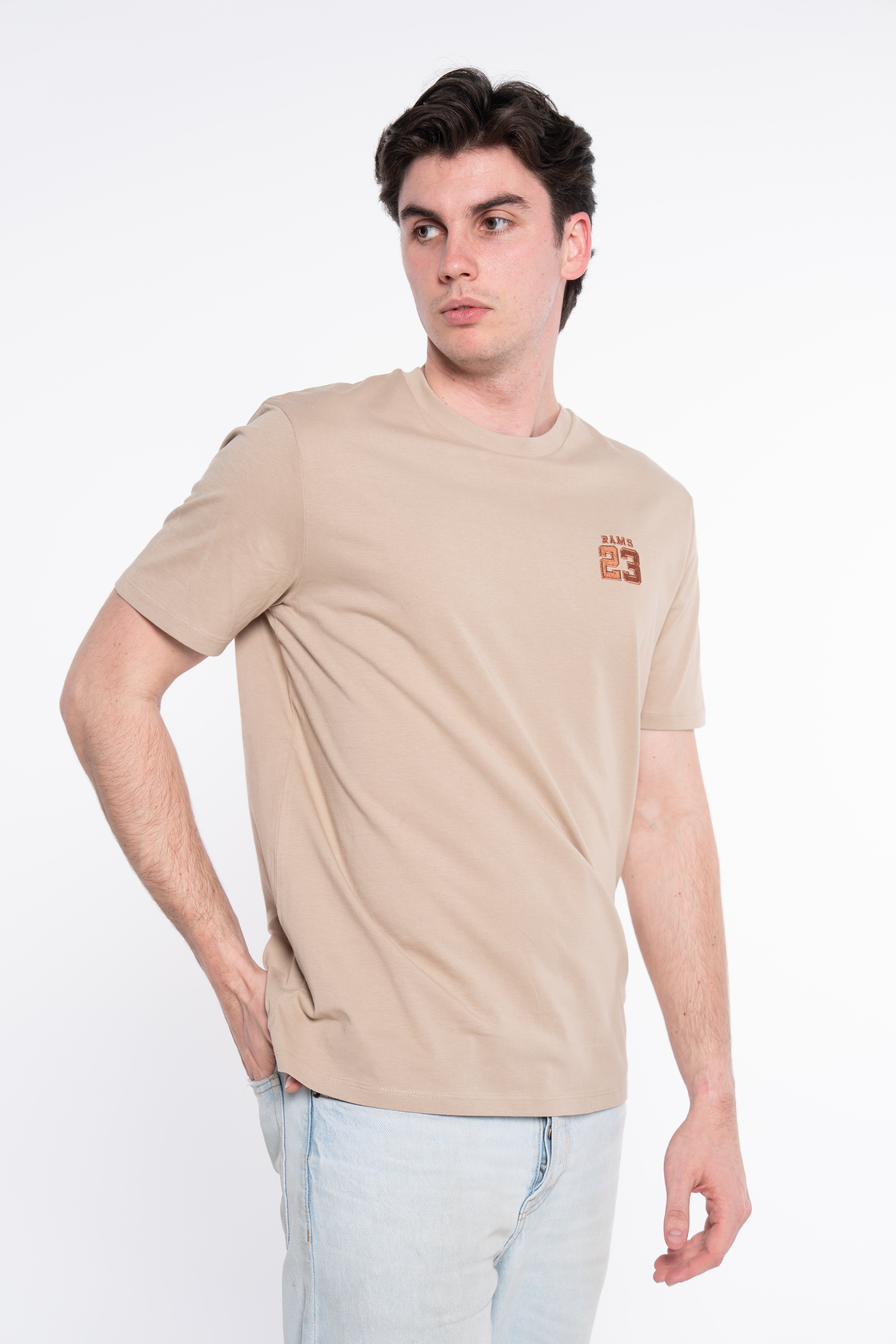 CAMISETA CLASSSIC LOGO BORDADO MARRON